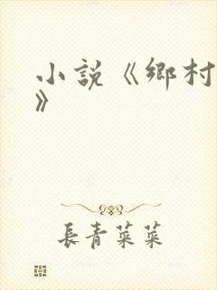 小说《乡村盲医》