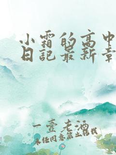 小霜的高中成长日记最新章节