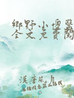 乡野小傻医小说全文免费阅读