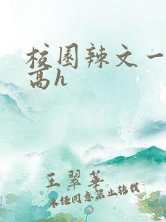校园辣文一对一高h