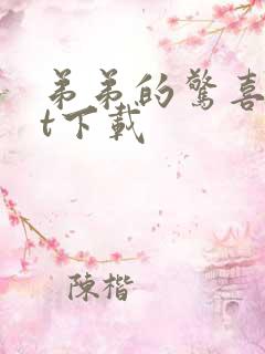 弟弟的惊喜txt下载