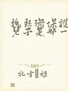 魏熙珊保护萧峥儿子是哪一集