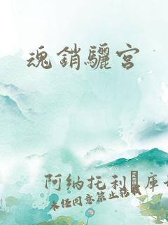 魂销骊宫