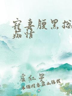 宠妻腹黑总裁太痴情