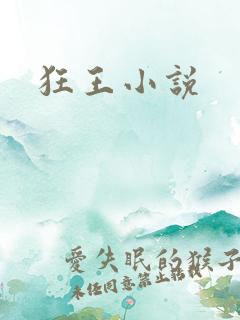 狂王小说