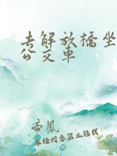 去解放桥坐几路公交车