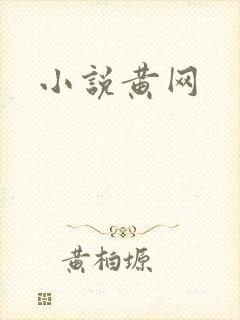 小说黄网