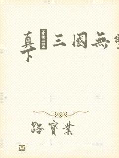 真·三国无双天下