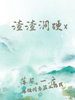 渣渣洞硬x