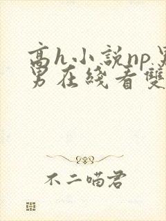 高h小说np男男在线看双性