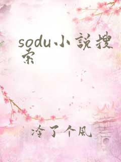 sodu小说搜索