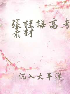 张桂梅高考作文素材