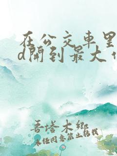 在公交车里把跳d开到最大作文