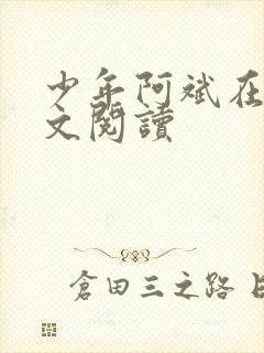 少年阿斌在线全文阅读