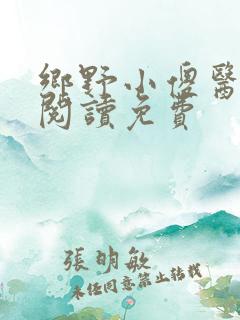 乡野小傻医全文阅读免费