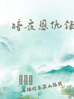 暗夜恩仇录