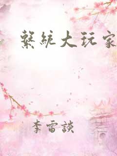 系统大玩家