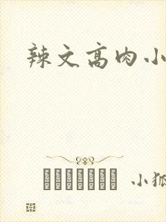 辣文高肉小说