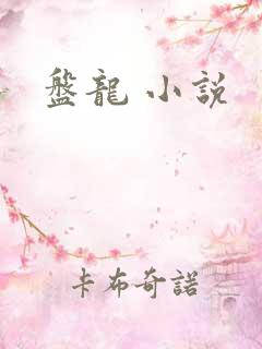 盘龙 小说