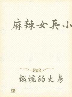 麻辣女兵小说版