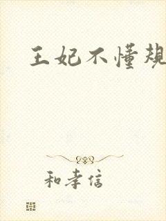 王妃不懂规矩