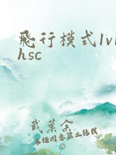 飞行模式1v1hsc