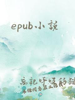 epub小说
