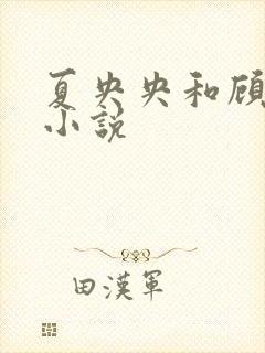 夏央央和顾祁琛小说