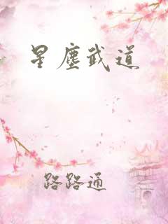 星尘武道