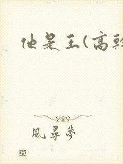 他是王(高干)