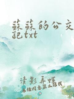 苏苏的公交车日记txt