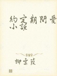 约定期间爱上你小说