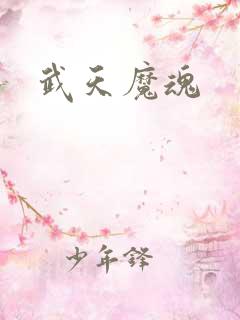 武天魔魂