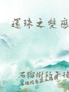 还珠之双恋