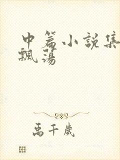 中篇小说集随风飘荡