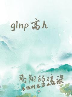 glnp高h
