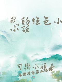 我的绝色小姨 小说