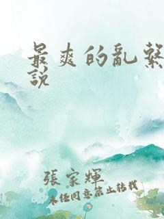 最爽的乱系列小说