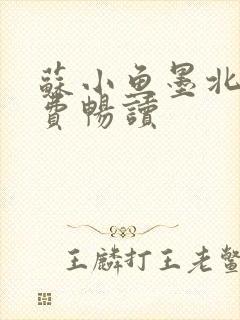 苏小鱼墨北枭免费畅读