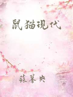 鼠猫现代