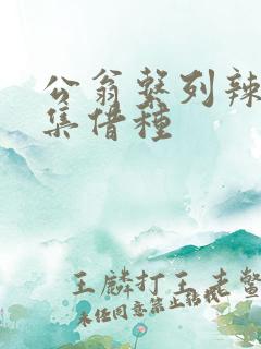 公翁系列辣文全集借种