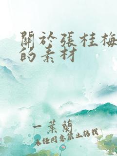 关于张桂梅事迹的素材