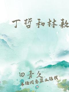 丁哲和林敖雷