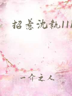 招惹沈执11h