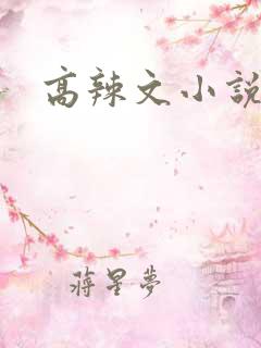 高辣文小说阅读