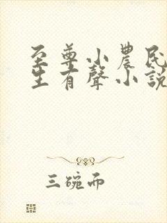 至尊小农民王木生有声小说全集收听免费听