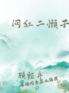 网红二懒子车祸