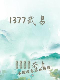 1377武易