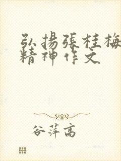弘扬张桂梅伟大精神作文