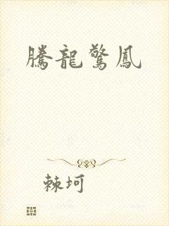 腾龙惊凤